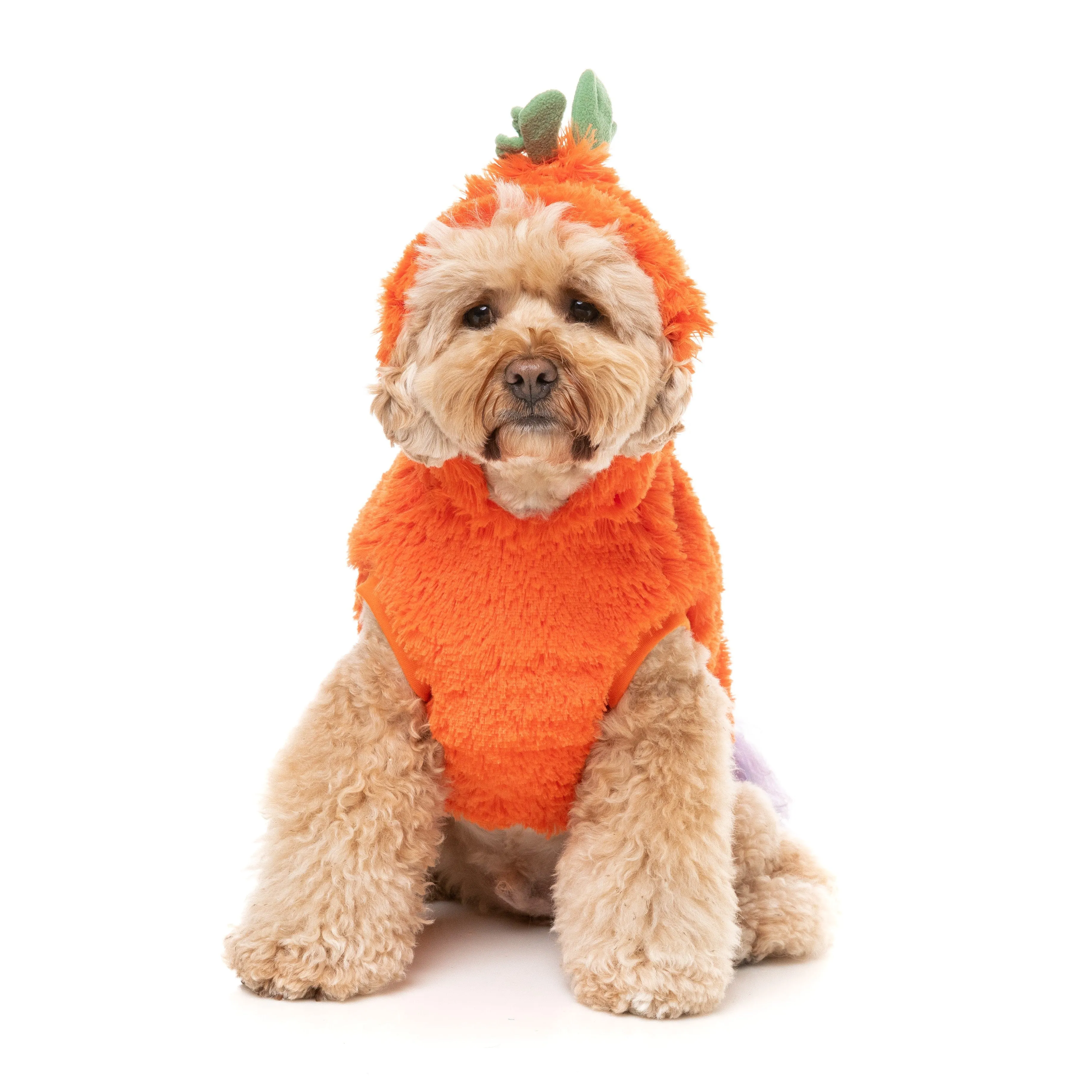 FuzzYard Halloween Dog Apparel Pumpkin Head Hoodie Size 2