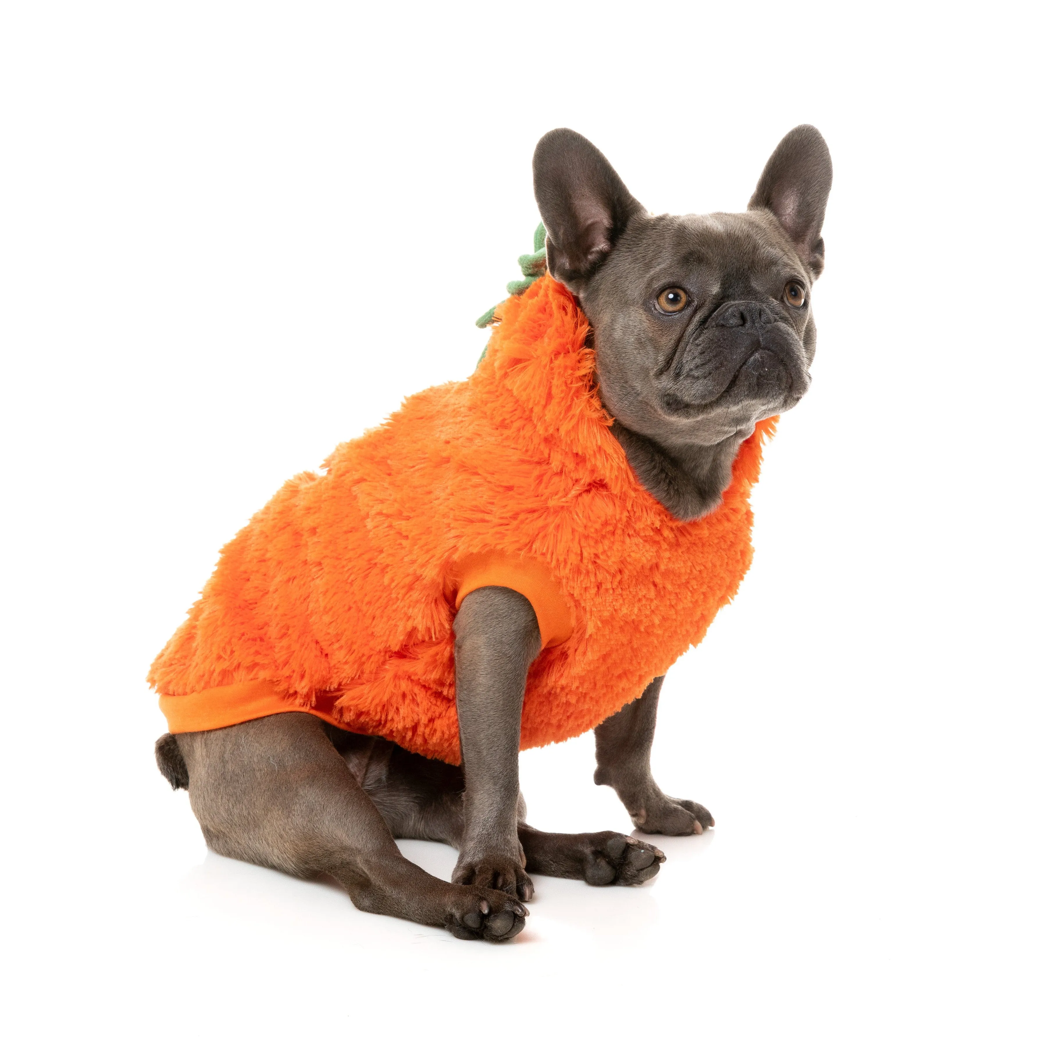 FuzzYard Halloween Dog Apparel Pumpkin Head Hoodie Size 2