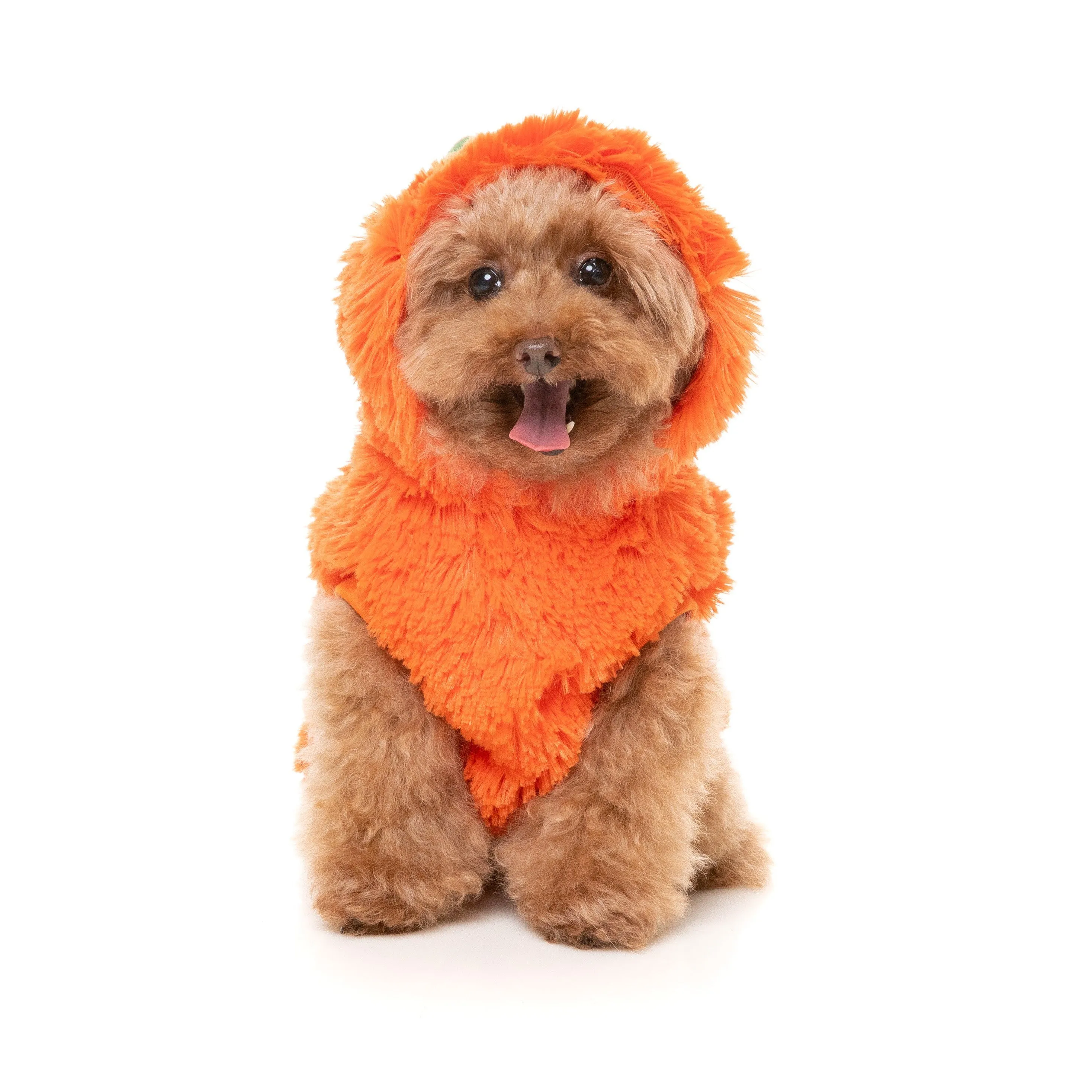 FuzzYard Halloween Dog Apparel Pumpkin Head Hoodie Size 2